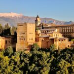 brown concrete castle surrounded by green trees during daytime