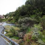a scenic view of a river surrounded by trees