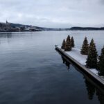 a snowy landscape with trees and a body of water