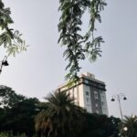 Building seen through green leaves and trees.