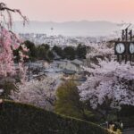 a clock tower in the middle of a city