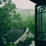 Rainy scenery from a window frame in the forest.