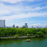 A lake surrounded by trees with a city in the background
