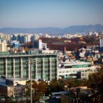 high-rise buildings beside trees