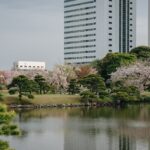 A body of water surrounded by tall buildings